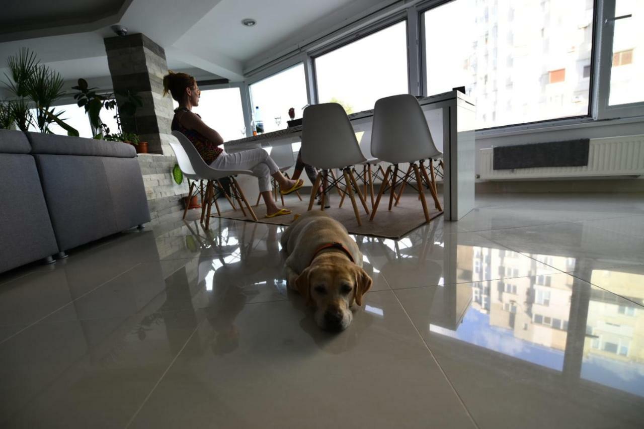 Ozana Apartament Daire Köstence Dış mekan fotoğraf